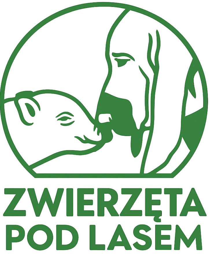 Zwierzęta pod lasem